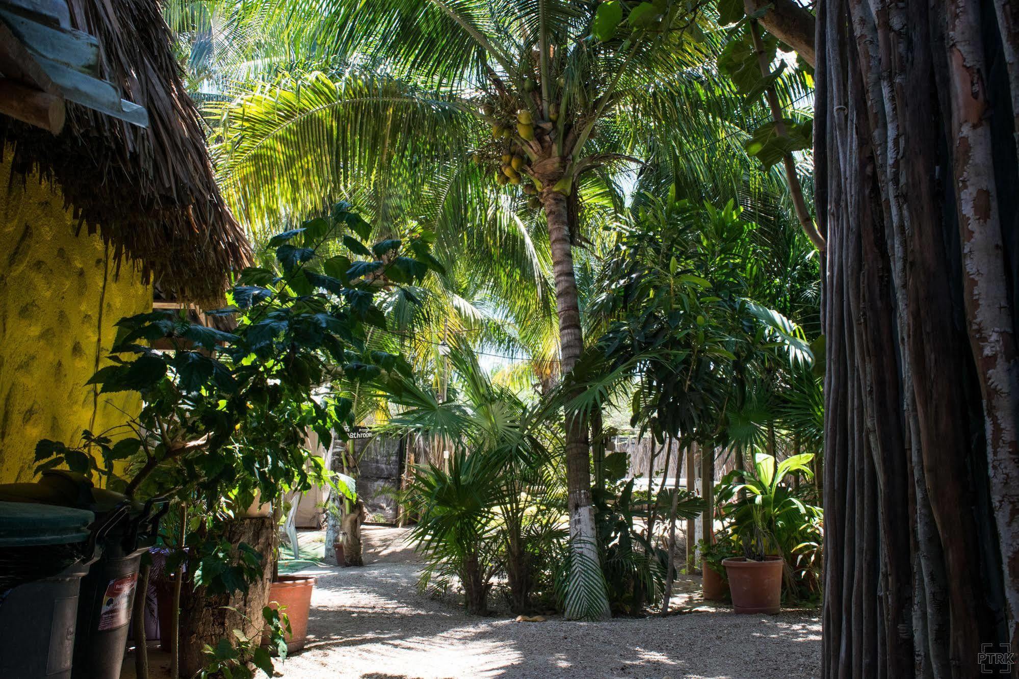 Casa Maya Holbox Exteriér fotografie